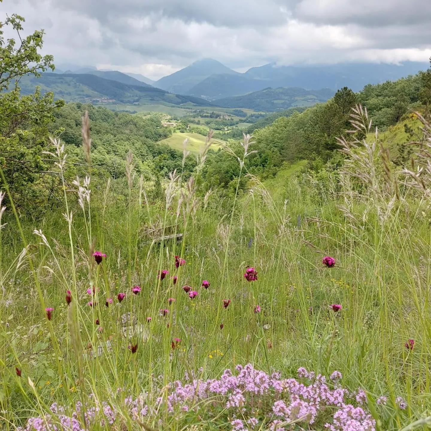 Bnb Bagno Di Bosco Gubbio Zewnętrze zdjęcie